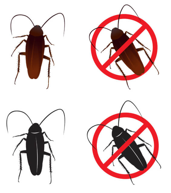 達鑫環衛的病媒防治須知圖片