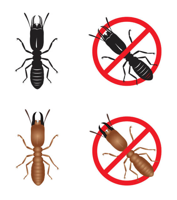 達鑫環衛的病媒防治須知圖片