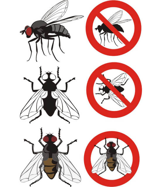 達鑫環衛的病媒防治須知圖片