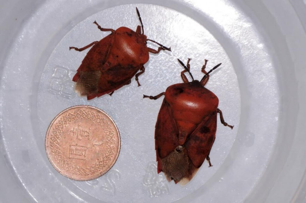 達鑫環衛的最新消息圖片