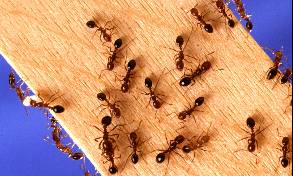 達鑫環衛的最新消息圖片